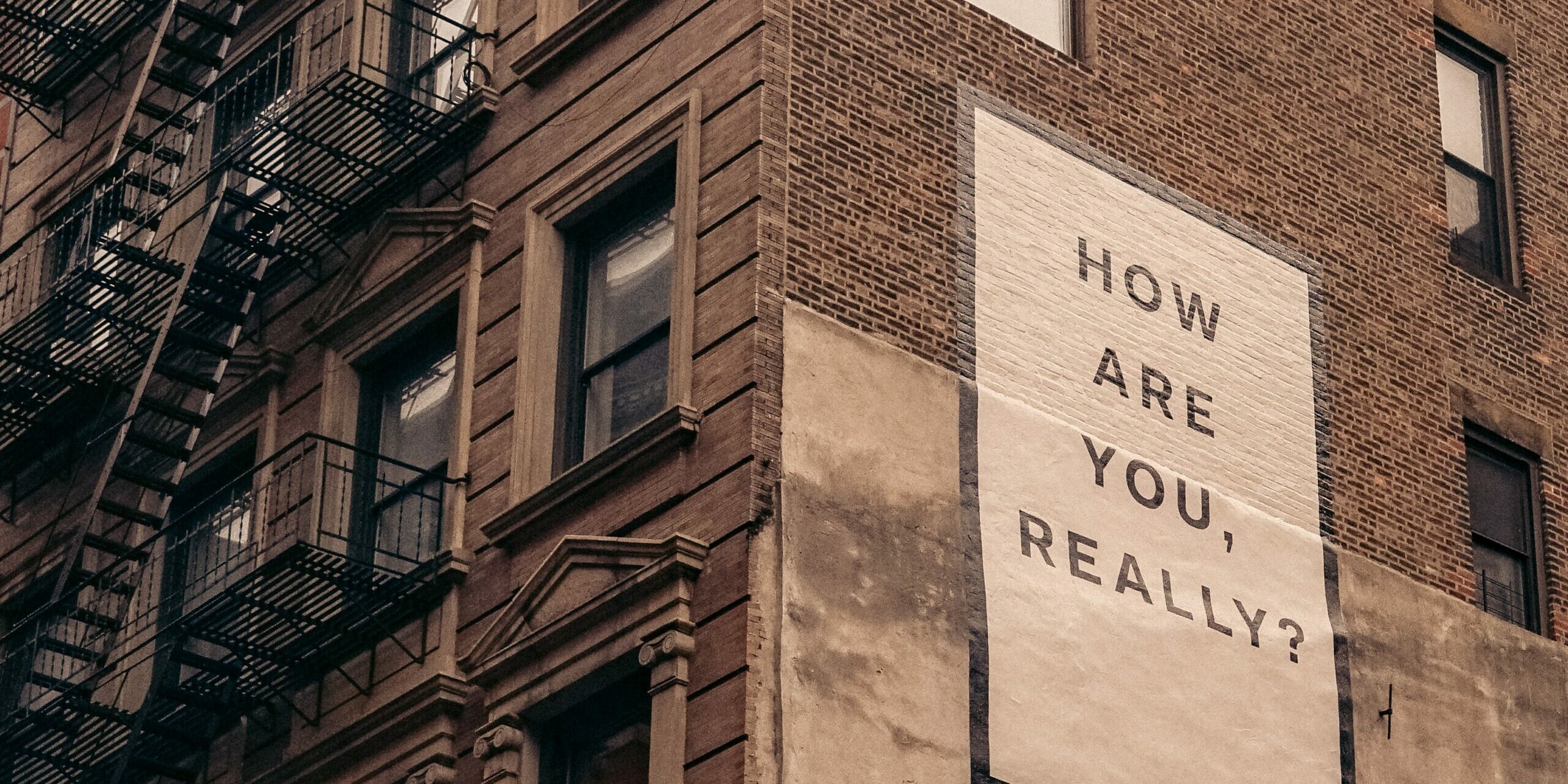 finn-nJupV3AOP-U-unsplash psychobiotic