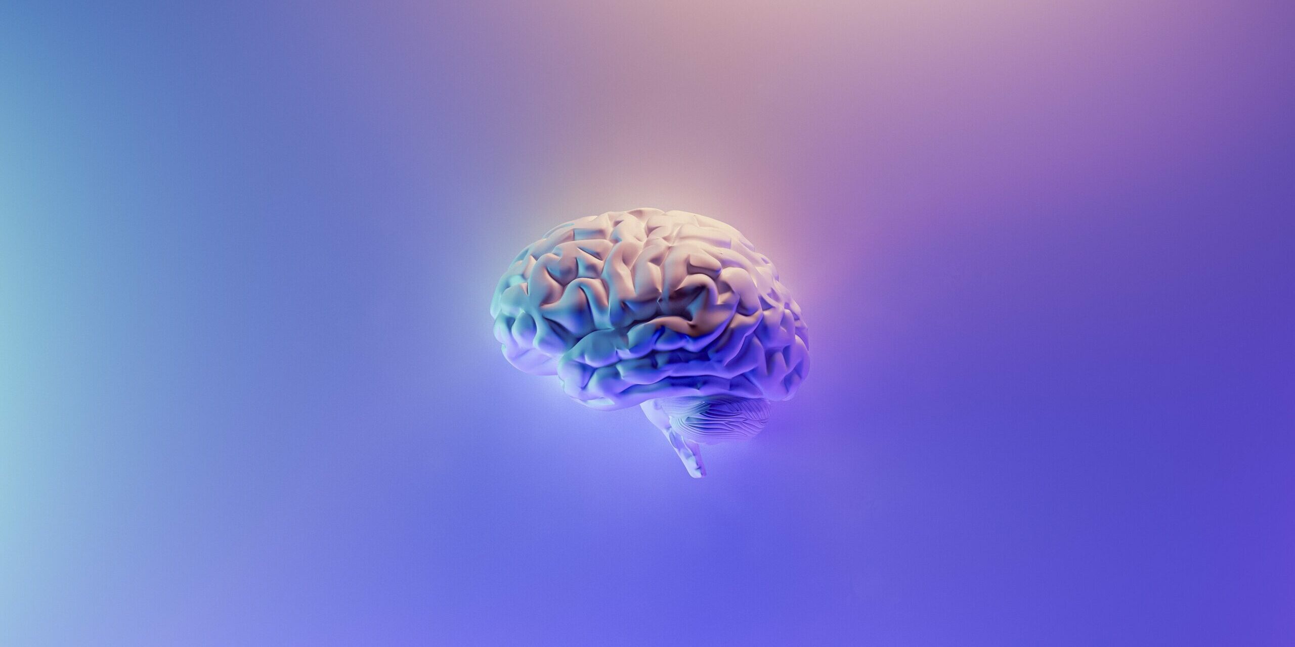 milad-fakurian-58Z17lnVS4U-unsplash alzheimer's